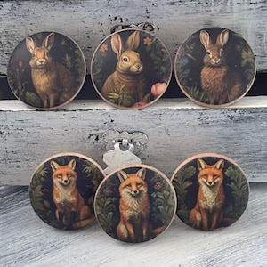 May include: Six round wooden decorative magnets featuring woodland animals. Three magnets depict brown rabbits surrounded by foliage, and the other three showcase orange foxes. The magnets have a dark background and a vintage aesthetic.