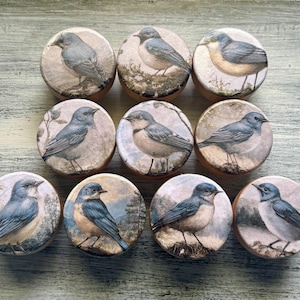 May include: A collection of ten round wooden knobs, each featuring a detailed illustration of a bluebird. The birds are depicted in various poses against a backdrop of foliage and landscapes. The knobs are a light brown color.