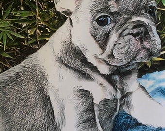 Frenchie Dog Portrait Art Print 8x10 Reproduction of My Original Artwork: French Bulldog