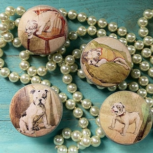 May include: Four round wooden knobs with images of bulldogs. Each knob features a different bulldog breed in a vintage style illustration. The knobs are surrounded by a string of white pearls.