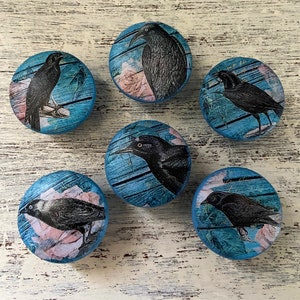 May include: Six blue round knobs with a black crow design on each. The crows are depicted on a light blue background with a white woodgrain pattern. The crows are in various poses, some with their wings spread and some with their wings folded. The knobs are approximately 1.5 inches in diameter.