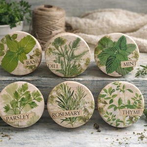 Handmade Herb Cabinet Knobs – Basil Dill Mint Parsley Rosemary Thyme – Botanical Kitchen Drawer Pulls – Farmhouse Cabinet Hardware
