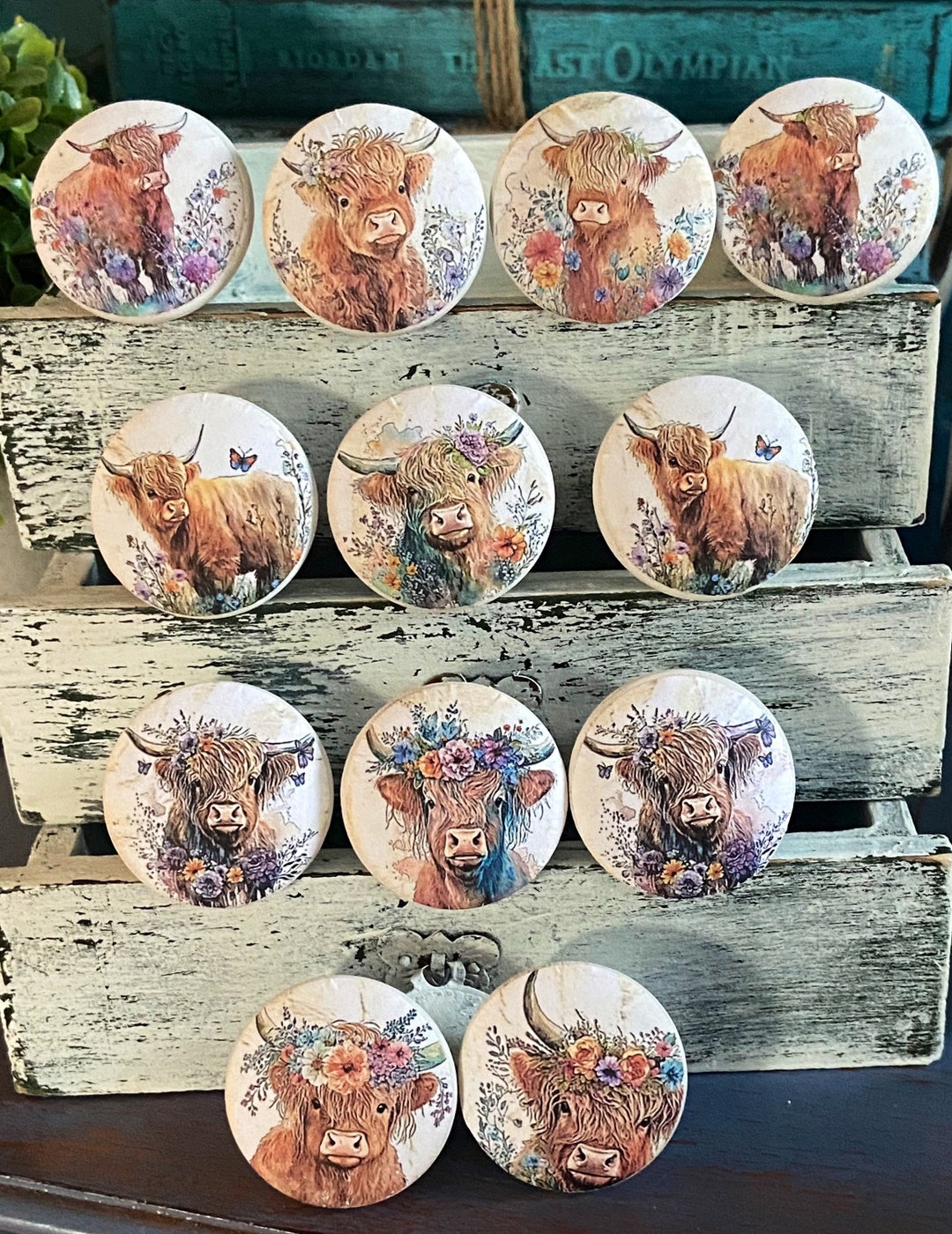 Highland Cow Knobs Drawer Pulls Farmhouse Shabby Boho Floral