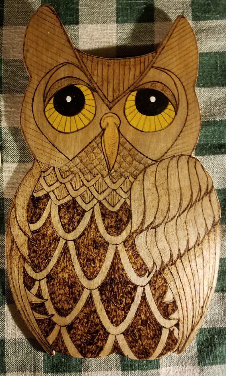 Owl Pyrography Wall Plaque | Etsy