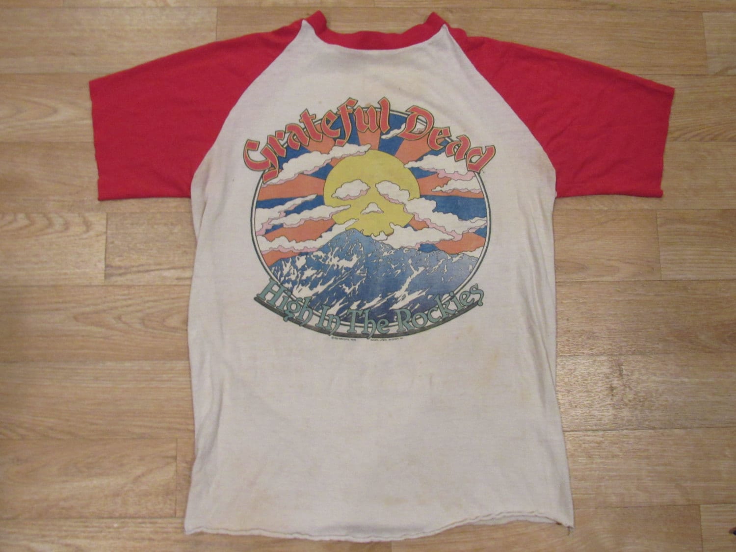 Grateful Dead Colorado 1980 Tour Shirt High in the Rockies 