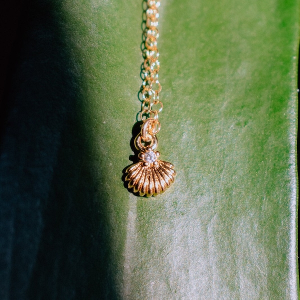 Tiny Seashell Necklace, 14k gold filled seashell necklace, gold shell necklace, dainty gold necklace
