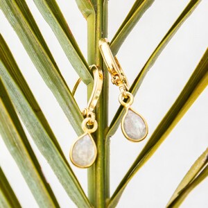 Labradorite gold mini hoops, gold filled mini hoops
