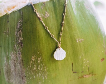 White shell charm made of mother of pearl dropping from a nice and elegant 14 gold filled chain