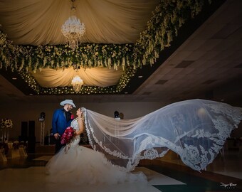 Embroidered Scroll Lace Royal Veil, embroidered lace, scroll lace, long veils, Custom bridal veil, unique wedding veils, made to order