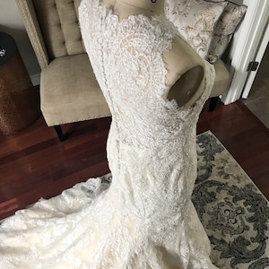 Puede incluir: Un vestido de novia de encaje blanco con un corpiño ajustado y una falda fluida. El vestido tiene un escote festoneado y un delicado patrón floral.