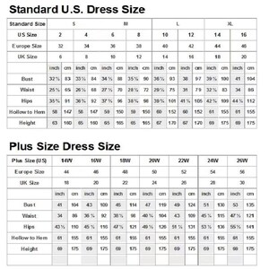 May include: A chart showing standard and plus size dress sizes in US, European, and UK sizes. The chart includes measurements in inches and centimeters for bust, waist, hips, hollow to hem, and height.