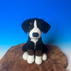Könnte beinhalten: Ein gehäkeltes Plüschtier eines Berner Sennenhunds, das auf einer Holzoberfläche sitzt. Der Hund ist schwarz, braun und weiß mit einem weißen Gesicht und einer schwarzen Nase.