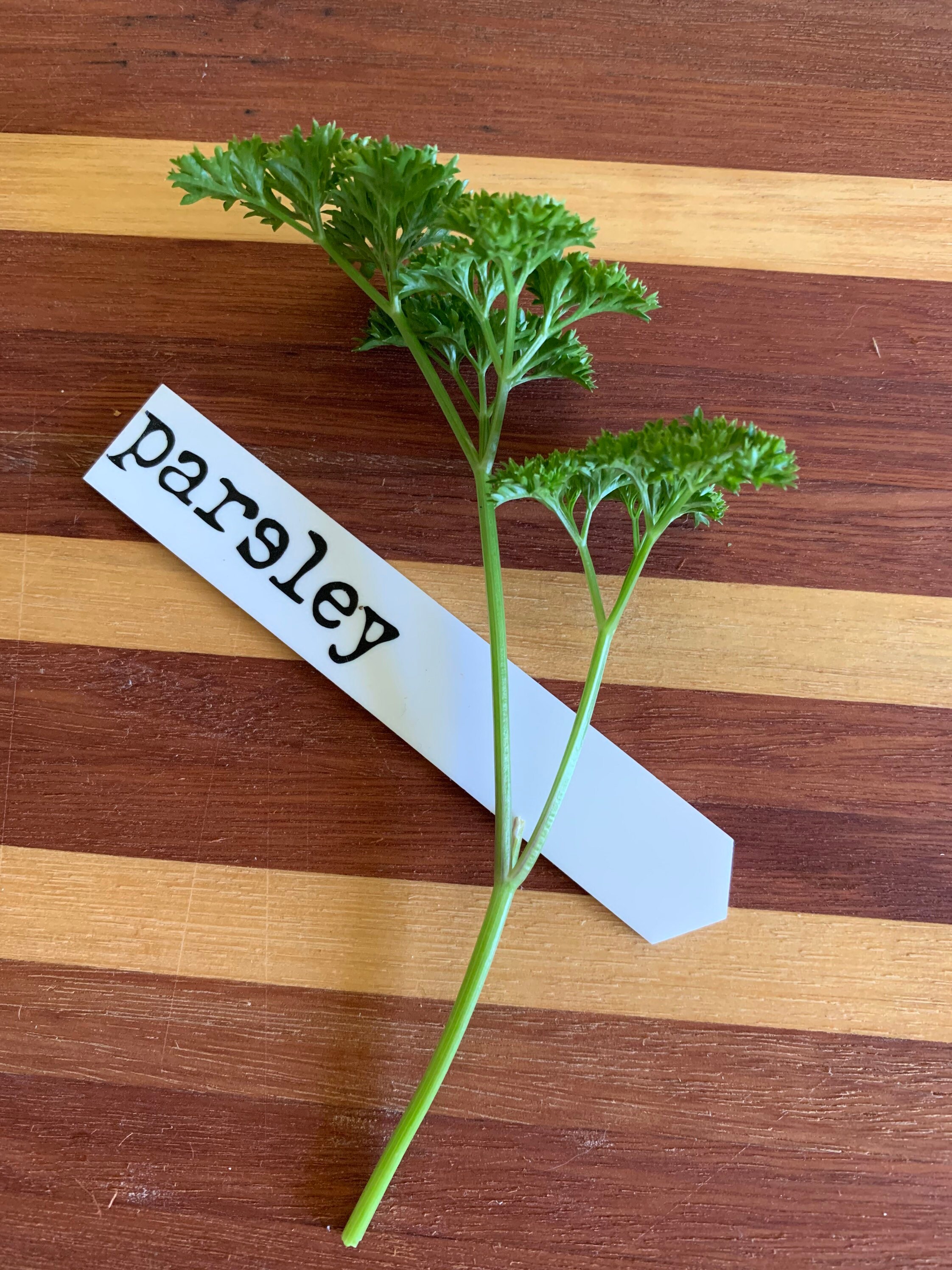 Herb markers Etsy