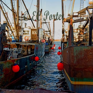 Draggers docked in Galilee, RI