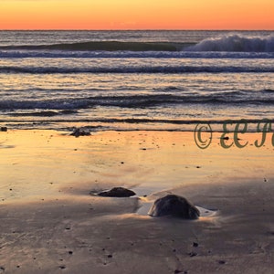 Sonnenaufgang am Strand, Narragansett, RI