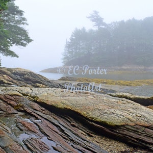 Casco Bay Shoreline in the Fog 1-Maine