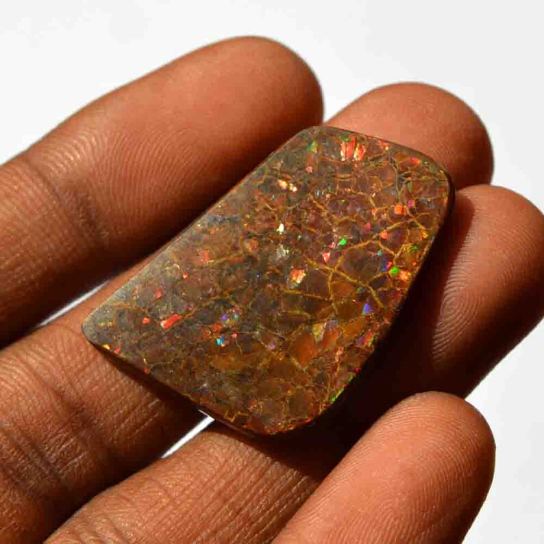 Fancy Shape Natural Ammolite Gemstone Loose Cabochan Multi Flashy Ammolite 36 Carat Red Fire Craft Supplies G21661H