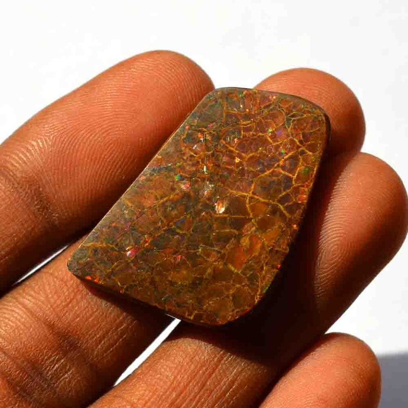 Fancy Shape Natural Ammolite Gemstone Loose Cabochan Multi Flashy Ammolite 36 Carat Red Fire Craft Supplies G21661H