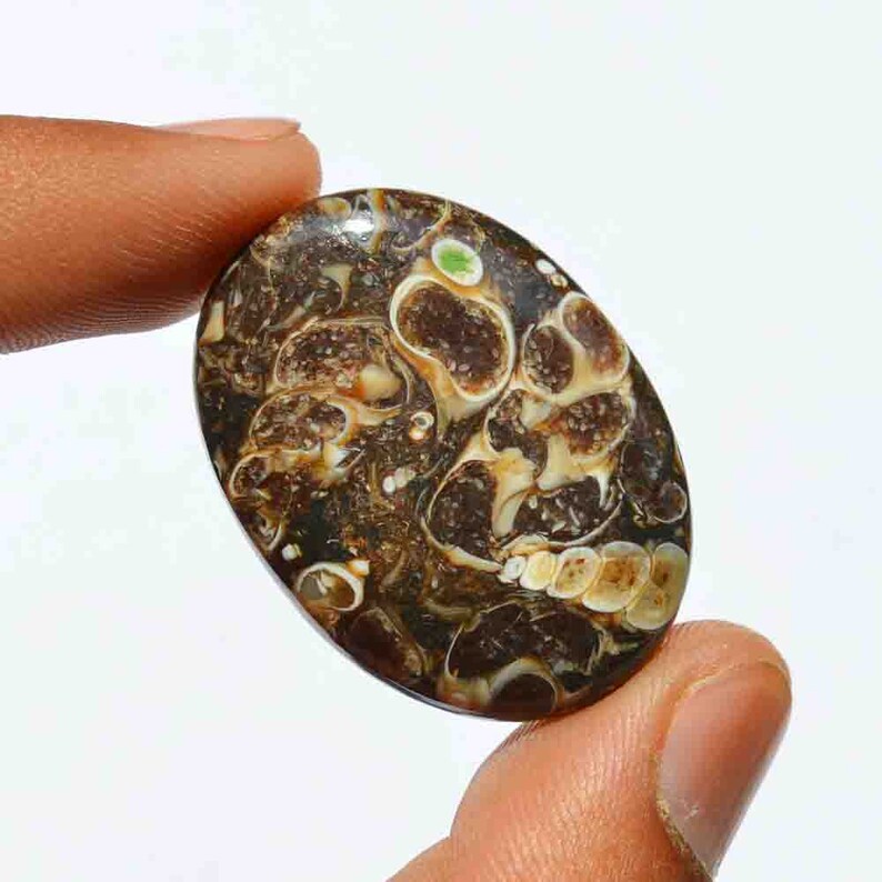 42 Carat Natural Turritella Agate Gemstone Loose Cabochon Mineral,Healing Crystal G25775 Oval Shape