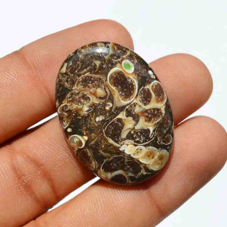 42 Carat Natural Turritella Agate Gemstone Loose Cabochon Mineral,Healing Crystal G25775 Oval Shape