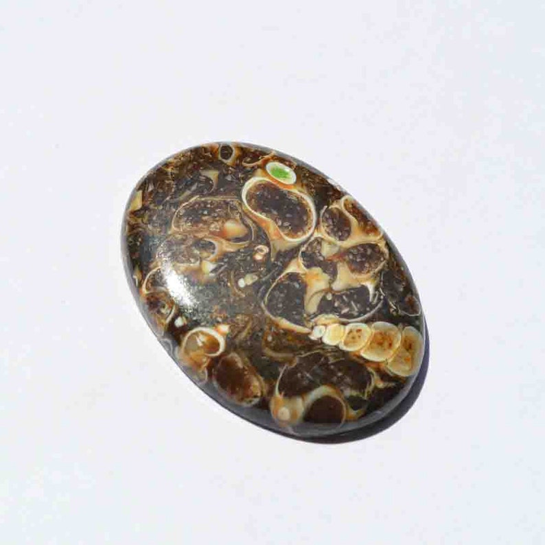 42 Carat Natural Turritella Agate Gemstone Loose Cabochon Mineral,Healing Crystal G25775 Oval Shape