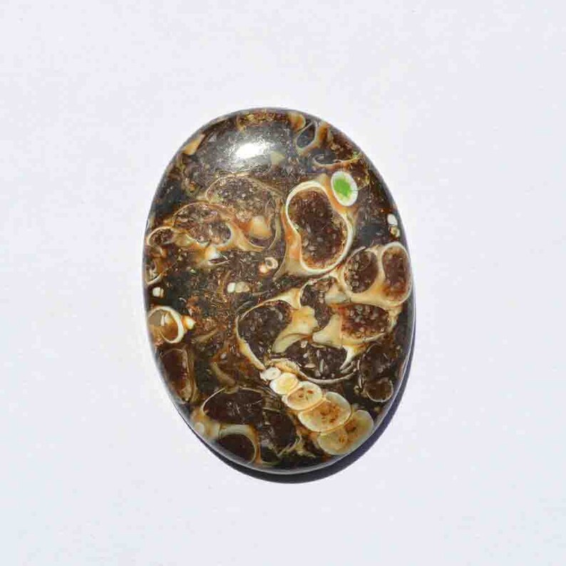 42 Carat Natural Turritella Agate Gemstone Loose Cabochon Mineral,Healing Crystal G25775 Oval Shape