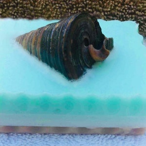 Glycerin Natural Seashell Embedded Soap Bar
