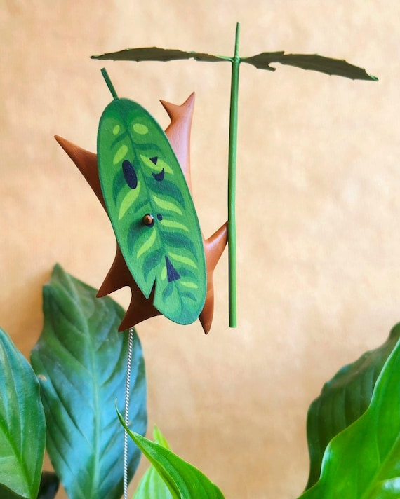 epipremnum aureum plant Golden Pothos in Hanging Basket, Epipremnum Aureum