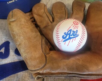 Hand Painted Baseballs -  Thoughtful and Unique Baseball Gift for Senior Day