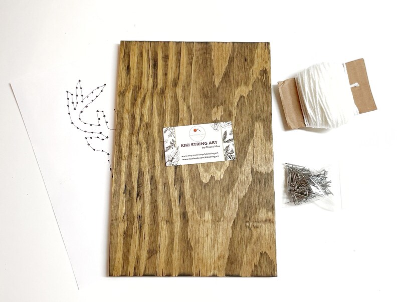 May include: A string art kit with a wooden board, white string, and a bag of nails. The design is a simple leaf pattern.