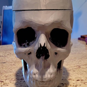 anatomical 3d printed skull