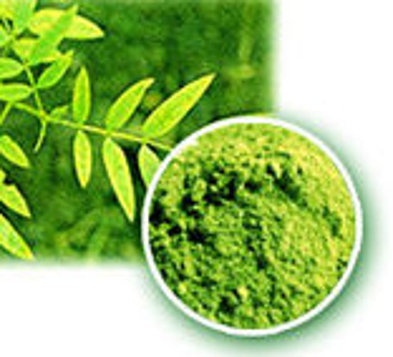 May include: Close-up of a pile of green Moringa powder, a supplement made from the leaves of the Moringa oleifera tree. The powder is a vibrant green color and has a fine texture.