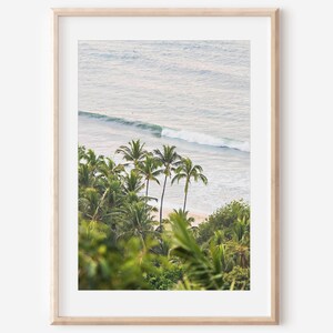 Palme, Luftaufnahme, digitaler Download, Mexiko Foto, Küstendruck, Ozeankunst, Strandfoto, Mexiko-Druck, Reisedruck, Sayulita Mexiko