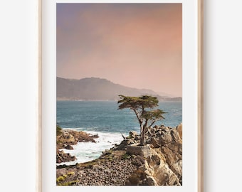 Einsame Zypresse, Nordkalifornische Landschaft, Zypresse, Kunstdruck, 17 Mile Drive Wandkunst, Küstendruck, Monterey Kunst