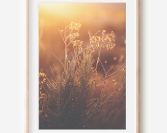 Nature Photography Digital Download | Utah Digital Print | Desert Sunset Wall Art