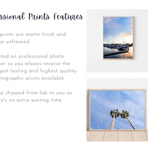 Professional print features list