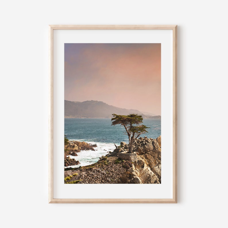 Lone Cypress Photography Print in frame