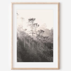 Cypress Trees, Black and White Photos Digital Download, Point Lobos Art Print, Coastal Style, Tree Photography Art, California Printable