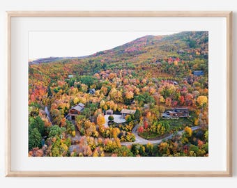 May include: An aerial view of a mountain covered in trees with vibrant autumn foliage. The trees display a mix of red, orange, yellow, and green hues. Several houses and a winding road are visible.