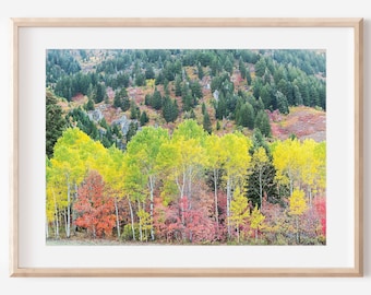 Utah Autumn Tree Photography Print Digital Download | Fall Foliage Wall Art
