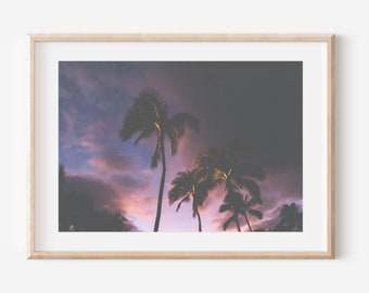 Impression palmier, photographie de coucher de soleil, coucher de soleil violet, estampes Hawaï, décoration tropicale, Oahu Hawaii, ciel coucher de soleil, feuille tropicale, photo de palmier