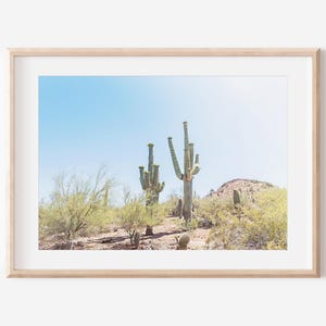 Wüstenlandschaft, Fotografie Druck, Kaktus Kunst, Saguaro Kaktus, Arizona Druck, Wüsten Fotografie, Botanische Drucke, Kaktus Foto