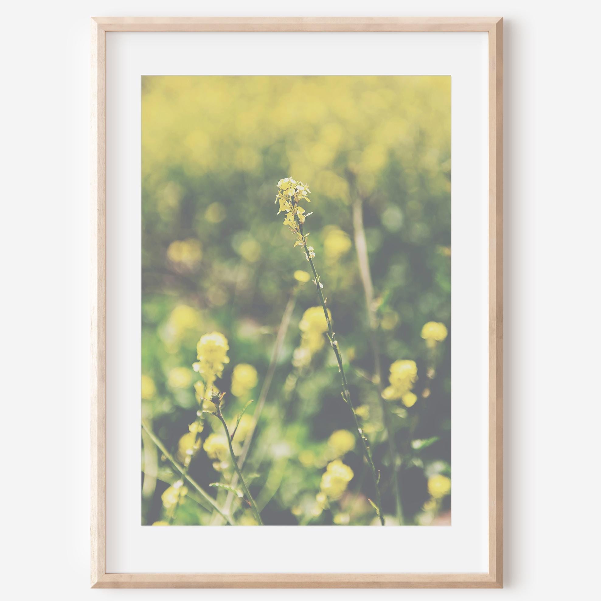 Yellow Flower Print, Wildflower Photo, Floral Art Print, Coastal Beach Décor, Nature Wall Art, Home Décor Gift Idea, Photography Prints