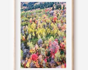 Impresión fotográfica aérea de otoño. Descarga digital / Paisaje otoñal de las montañas de Utah