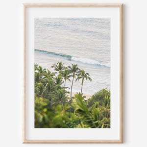 Sayulita Mexico, Palm Tree Print, Mexico Photo, Coastal Decor, Palm Tree Art, Coastline Photo, Mexican Art, Travel Photography, Ocean Prints