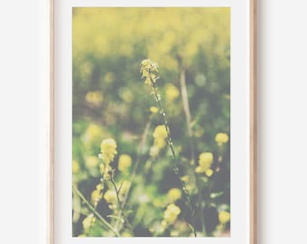 Yellow Flower Photo Digital Download, Wildflower Art, Floral Art Print, Instant Download, Coastal Décor, Flower Photography, Printable Art