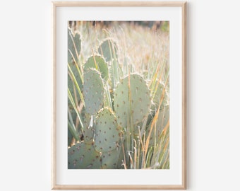 Prickly Pear Cactus, Photography Prints, Desert Wall Art, Cactus Photography, Arizona Art, Desert Decor, Cactus Decor, Desert Art Prints