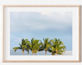 Palm Tree Photography Digital Download | Tropical Art Print | Cancun Mexico Art