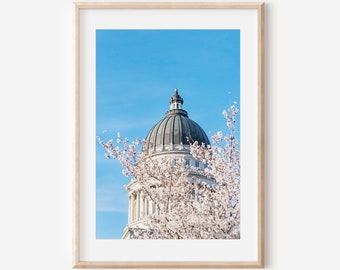 Utah Capitol, Photography Print, Spring Blossoms, Cherry Blossoms, Utah Capitol Print, Landmark Art,  Salt Lake City Art, Utah Photography