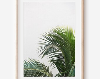 Palm Leaves Photography Digital Download | Tropical Decor | Cancun Mexico Print